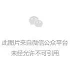关于基于新型工业化的人形机器人在城市配送的路径规划优化​的信息