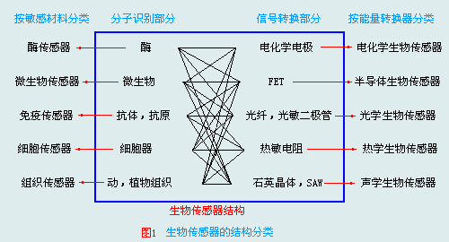 生物特征识别传感器在安全防护的应用_生物特征识别传感器在安全防护的应用领域