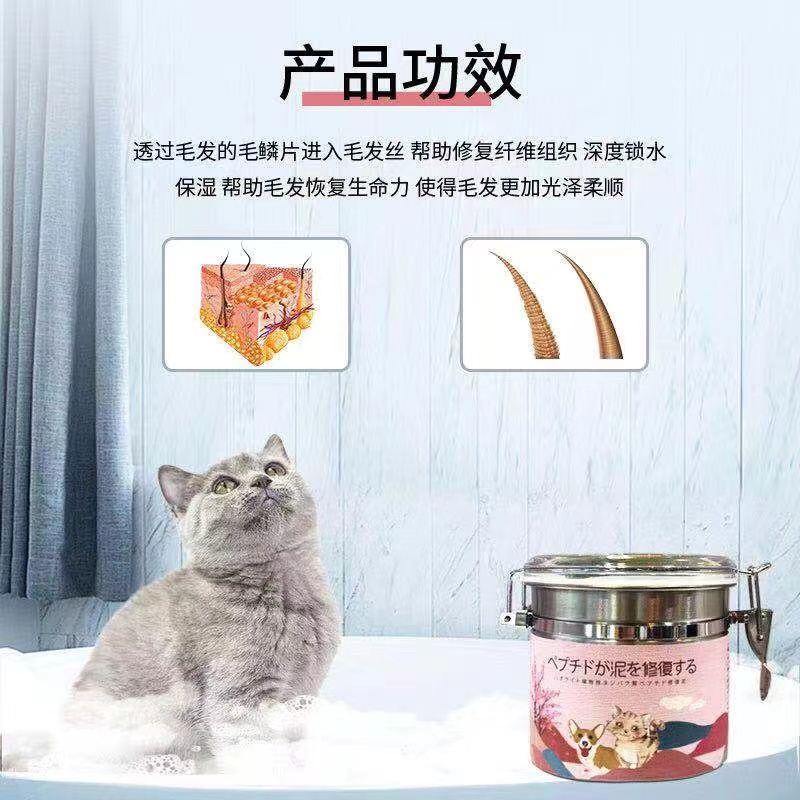 包含宠物美容的AI毛发护理方案推荐​的词条