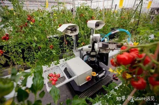机器人技术在农业中的应用探索_机器人在农业生产中的应用