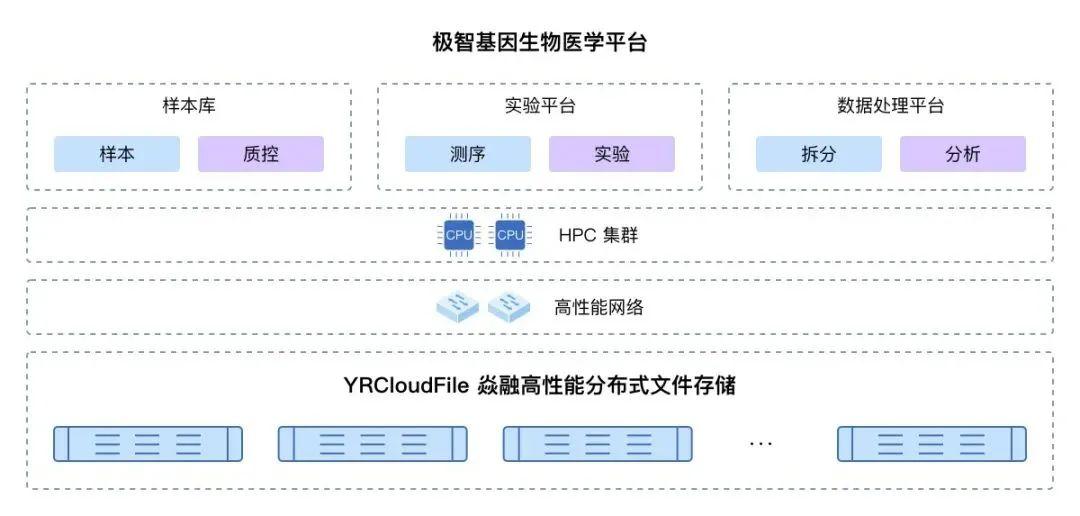 AI医疗在基因组学研究中的应用_ai医疗在基因组学研究中的应用