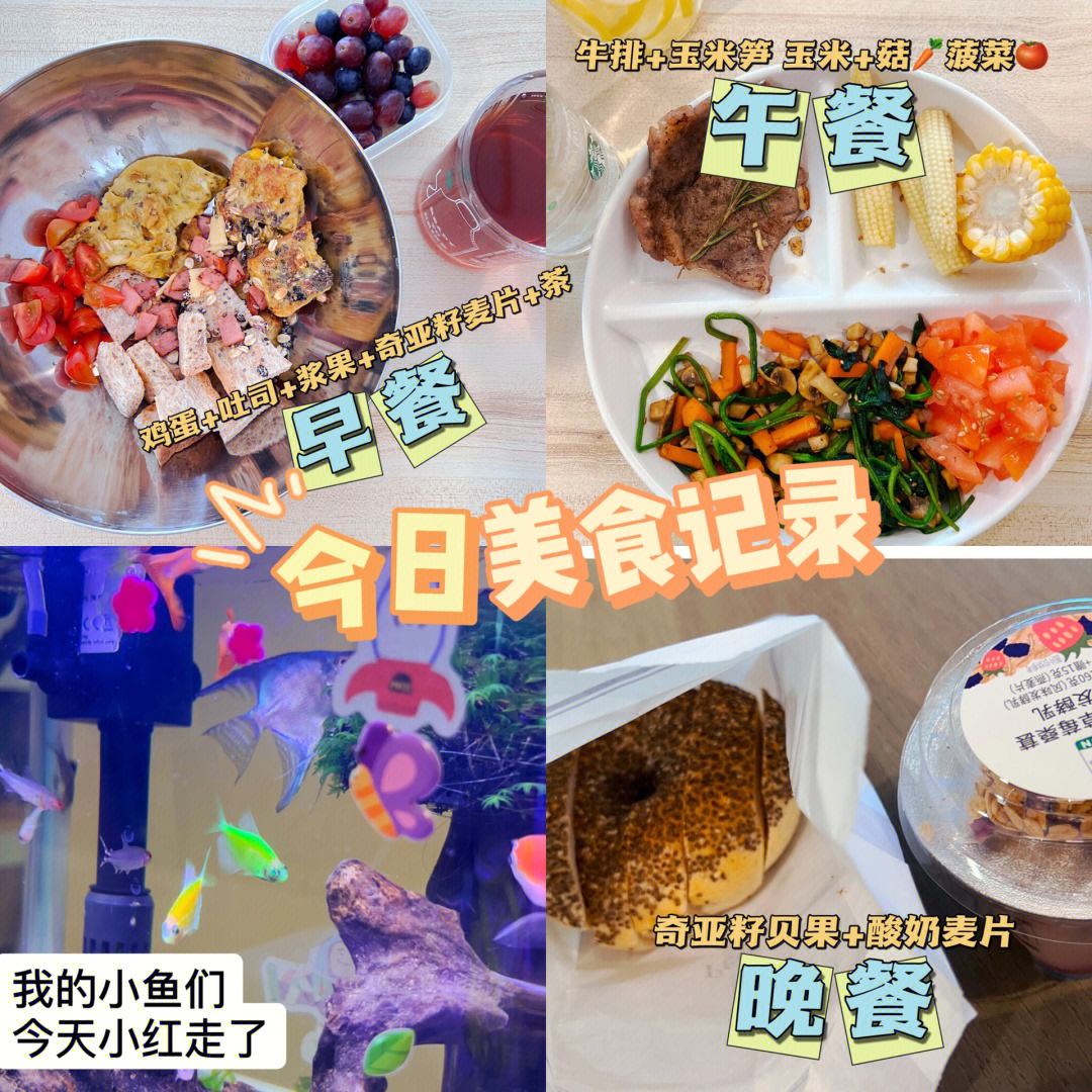 深度学习在个性化健康饮食计划中的应用_个性化饮食指导