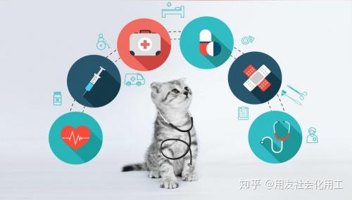 关于智能眼镜宠物陪伴功能在宠物经济市场的商业探索​的信息