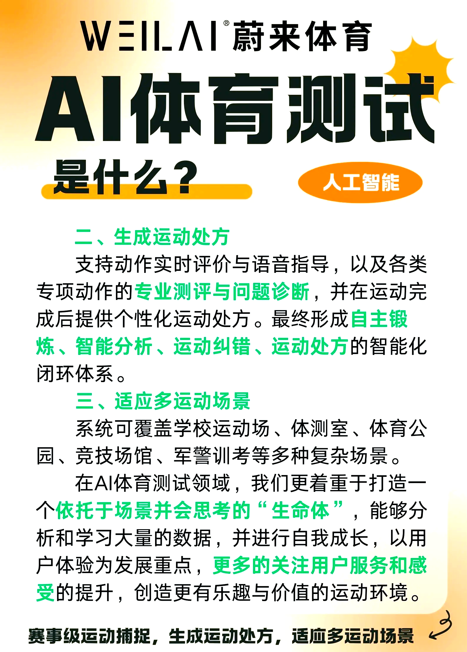 关于AI参与的体育运动员体能训练计划制定​的信息