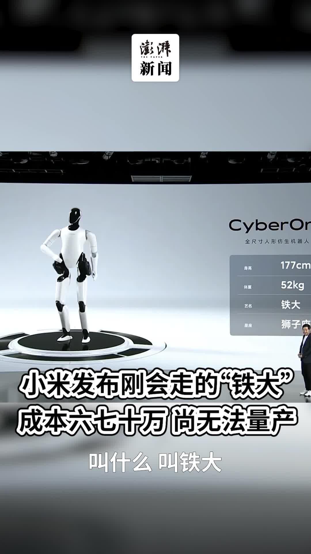 包含人形机器人市场区域发展不平衡研究​的词条