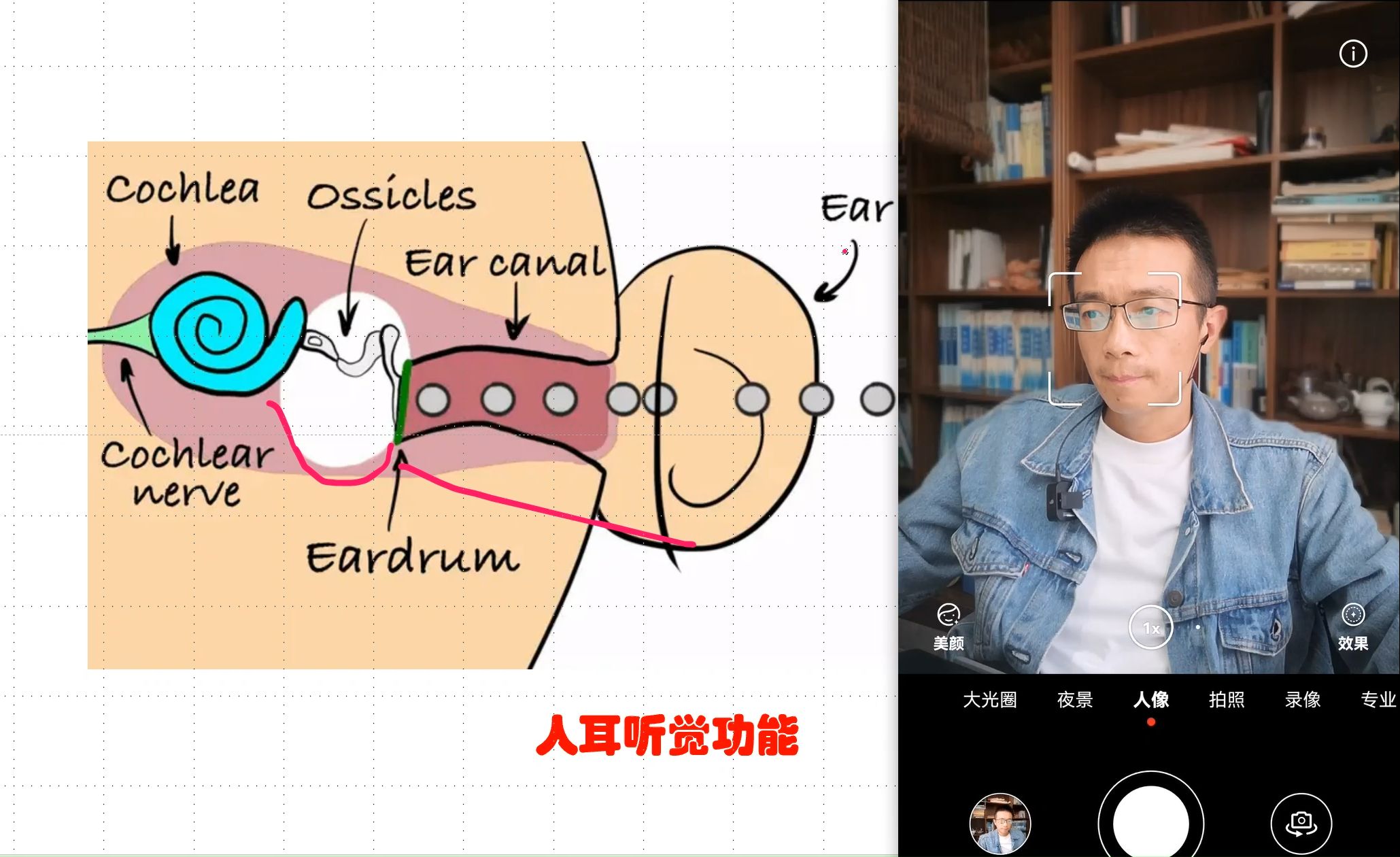 听觉传感器的声源定位与跟踪技术_听觉传感器是将声源